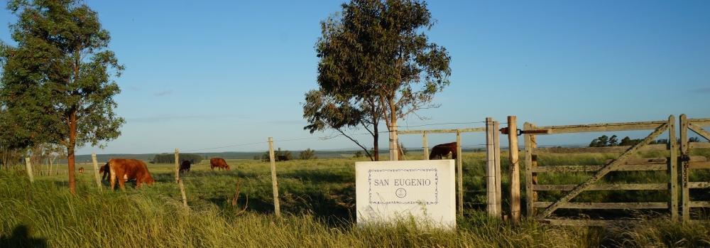 Uruguay farmland